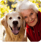 PawBiotixreviews